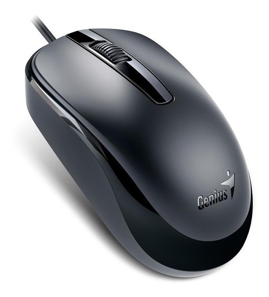 MOUSE GENIUS DX-120 USB NEGRO